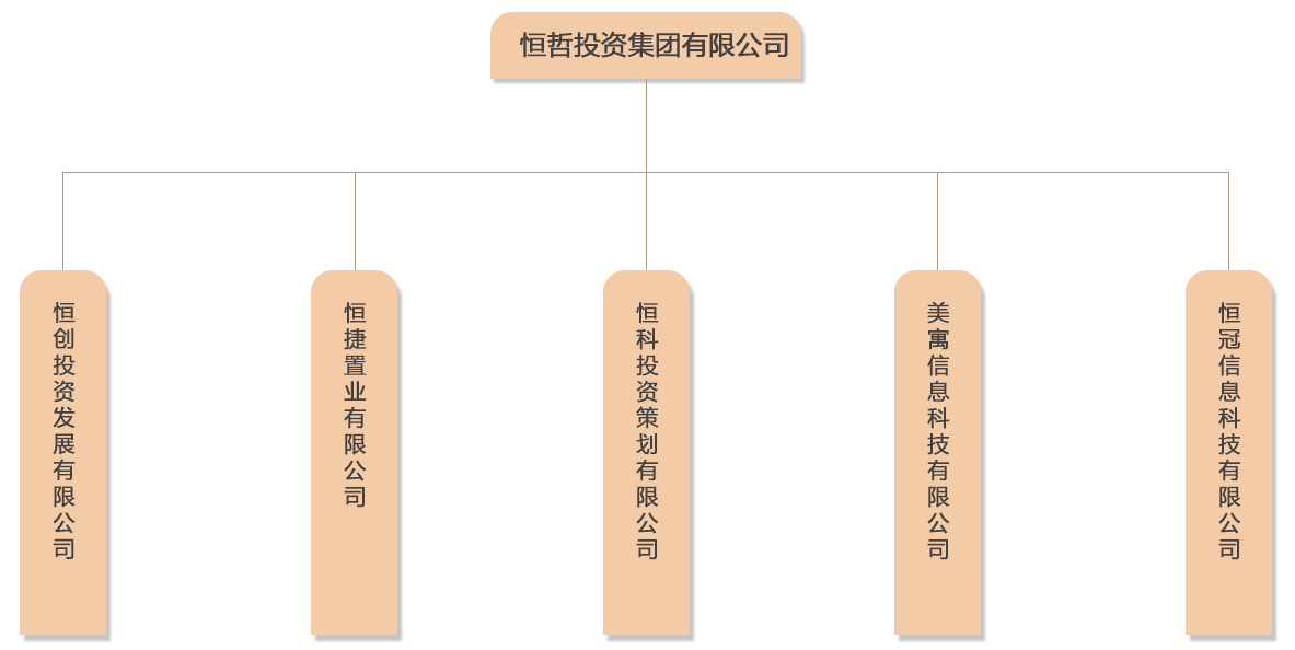 集团架构